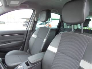RENAULT Scenic usata 30
