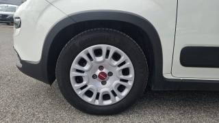 FIAT Panda usata 16