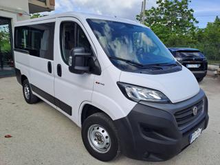 FIAT Ducato 30 2.3 MJT 140CV PC-TN Panorama