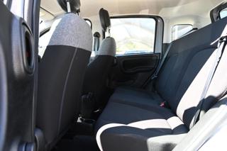 FIAT Panda usata 14