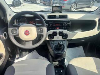 FIAT Panda usata, con Tettuccio apribile