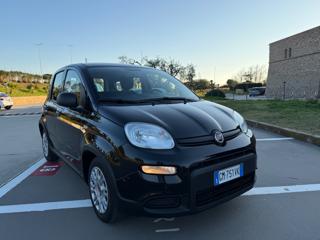 FIAT Panda usata 31