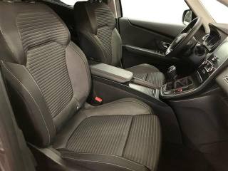 RENAULT Scenic usata, con Fendinebbia