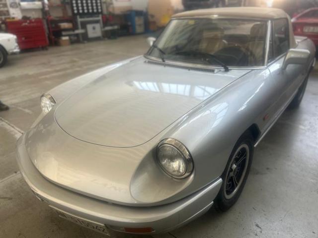 ALFA ROMEO Spider usata, con Chiusura centralizzata