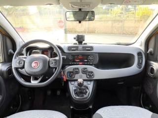 FIAT Panda usata 5