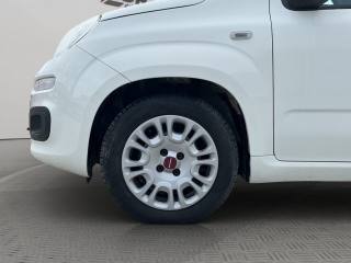 FIAT Panda usata 15