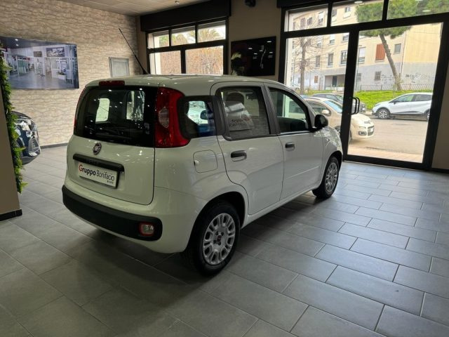FIAT Panda usata, con Climatizzatore