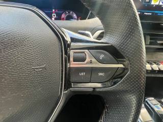 PEUGEOT 3008 usata, con Vetri oscurati