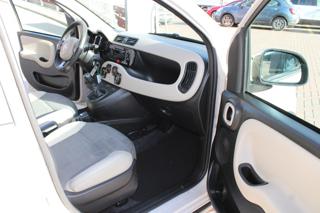 FIAT Panda usata, con Filtro antiparticolato