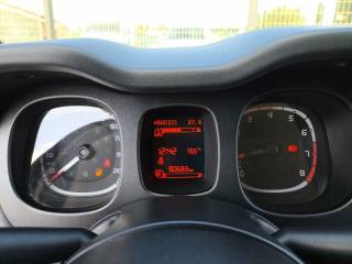 FIAT Panda usata 12