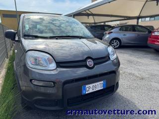 FIAT Panda usata 2