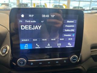 FORD EcoSport usata, con Interni in pelle