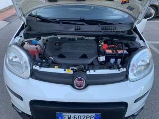 FIAT Panda usata, con Airbag testa