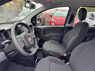 FIAT Panda usata, con Climatizzatore