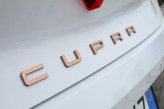 CUPRA Leon usata, con Hill holder