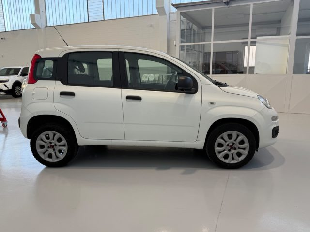 FIAT Panda usata, con Autoradio