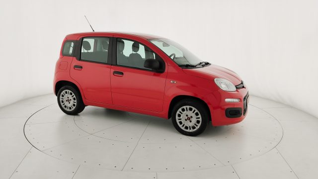 FIAT Panda usata 21