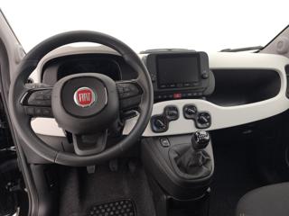 FIAT Panda usata, con Fendinebbia