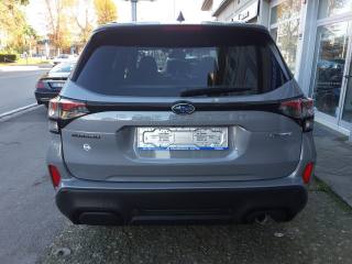 SUBARU Forester usata, con Fendinebbia