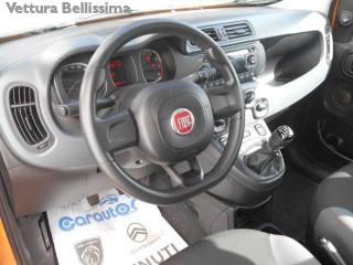 FIAT Panda usata 13