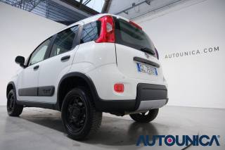 FIAT Panda usata 42