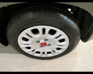 FIAT New Panda usata 16