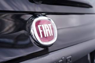 FIAT New Panda usata 25