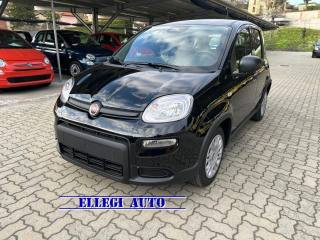 FIAT Panda PROMO FINANZ 1.0 HYBRID 5 POSTI +PACK CITY KM 0