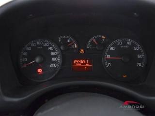 FIAT Punto usata 12