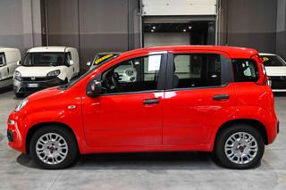 FIAT Panda usata, con Chiusura centralizzata