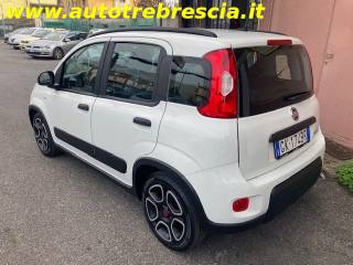 FIAT Panda usata, con Antifurto