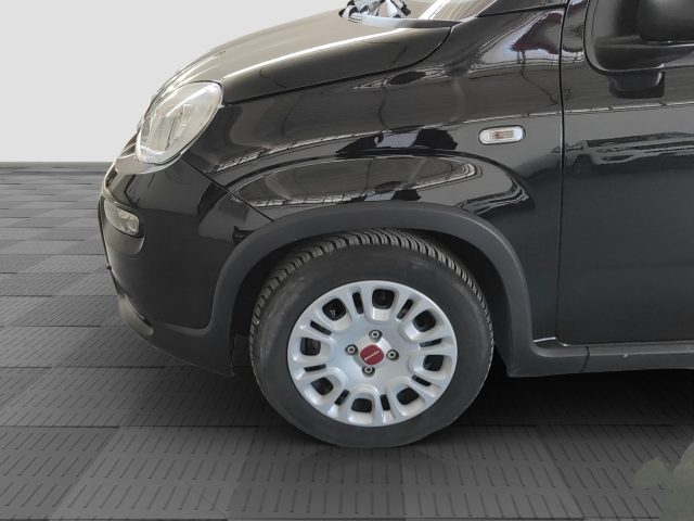 FIAT Panda usata 14