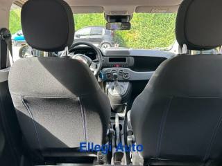 FIAT Pandina usata, con Sensori di parcheggio posteriori