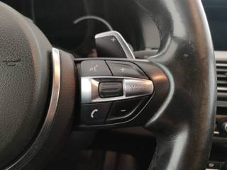 BMW 520 usata, con Fari Xenon