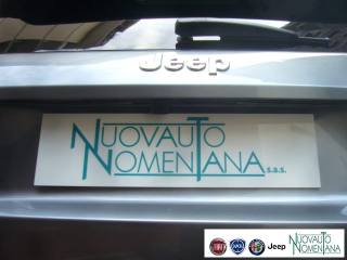 JEEP Avenger usata, con Controllo trazione