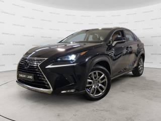 LEXUS NX 300 usata, con Portellone posteriore elettrico