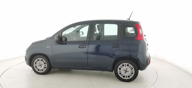 FIAT Panda usata 29