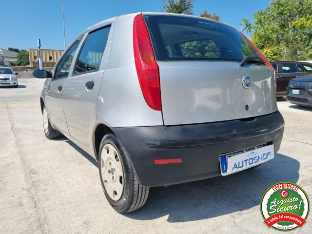 FIAT Punto usata 5