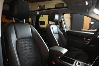 LAND ROVER Discovery Sport usata 40