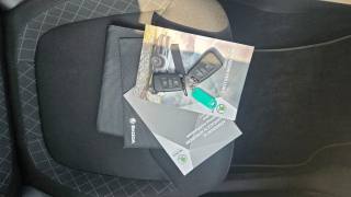 SKODA Kodiaq usata, con Climatizzatore