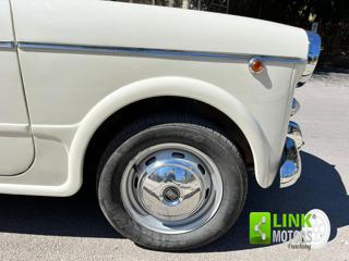 FIAT 1100 usata 22