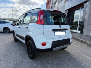 FIAT Panda usata, con Airbag Passeggero