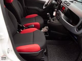 FIAT Panda usata, con Volante multifunzione