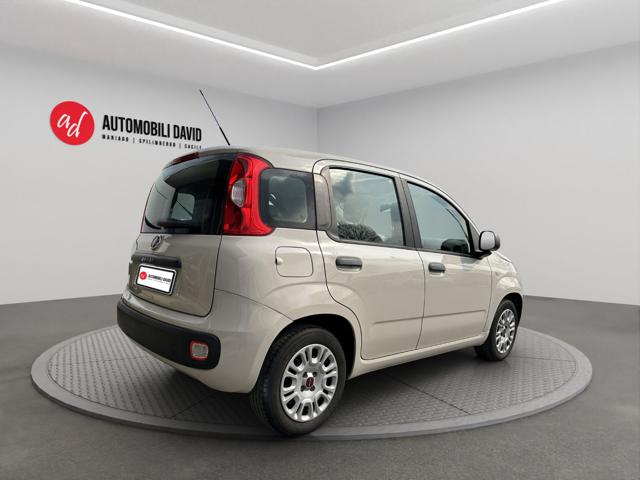 FIAT Panda usata, con Airbag Passeggero