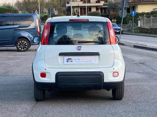 FIAT Panda usata, con Climatizzatore
