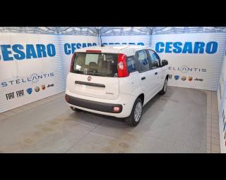 FIAT Panda usata, con Airbag Passeggero