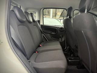 FIAT Panda usata 29