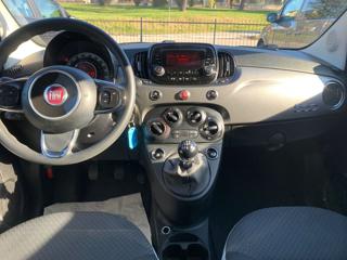 FIAT 500 usata 16
