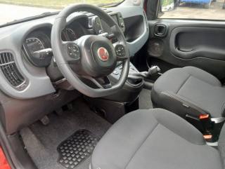 FIAT Panda Cross usata, con Immobilizzatore elettronico