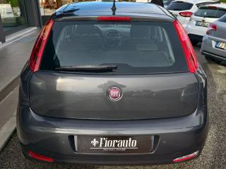 FIAT Punto usata, con Airbag Passeggero